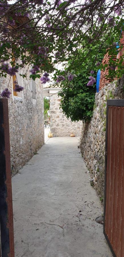 Carsazzio Cottage House Kariá エクステリア 写真